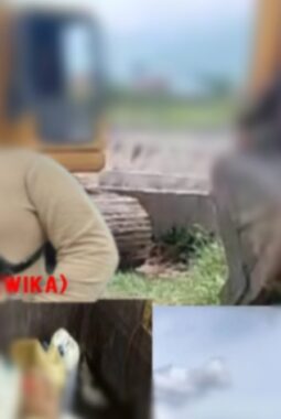 Kontroversi Proyek PT WIKA Belum Usai, Dari Lapangan hingga Internal Perusahaan